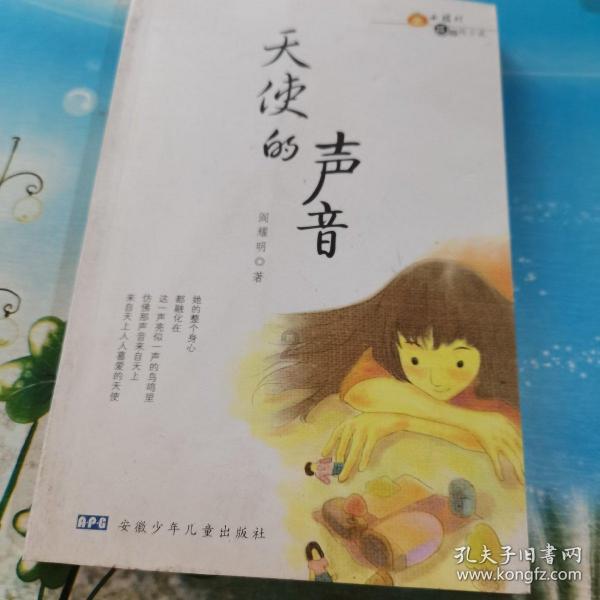 深中华A止步12连板